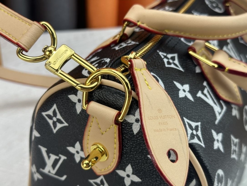 LV Speedy Bags